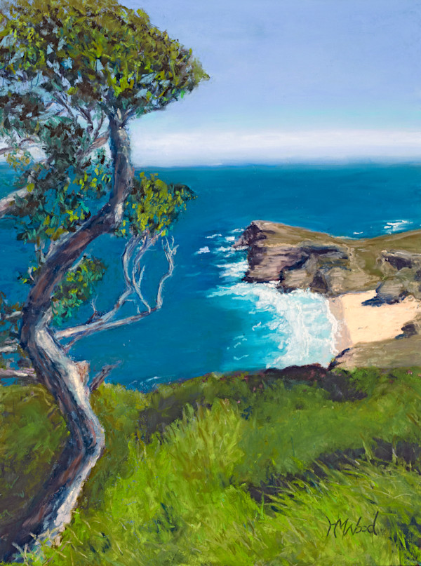 View of Cape Point by Helen Wood