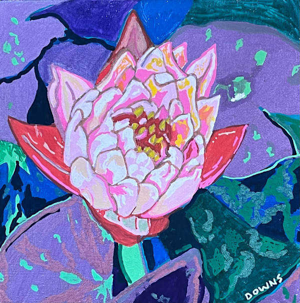 Pink Waterlily Miniature by Jamie Downs