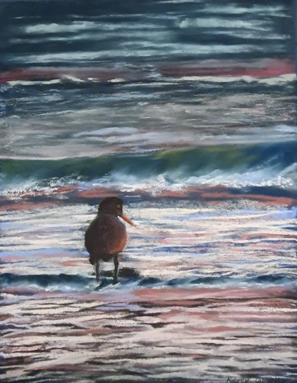 Oystercatcher at Dusk, Image 1.