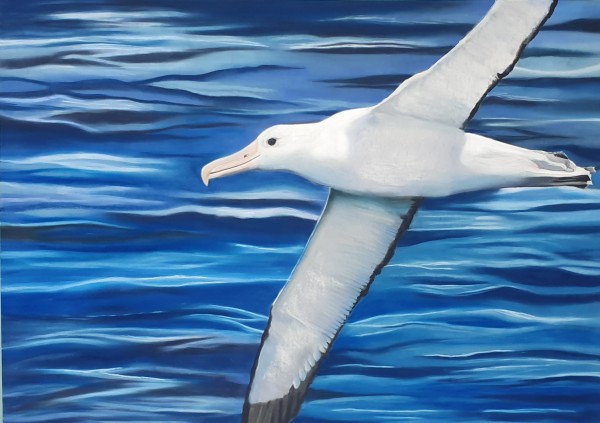 Ocean Wanderer by Karen Gourley, Image 1.