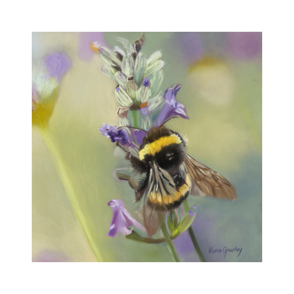 Purple Haze by Karen Gourley, Image 1.