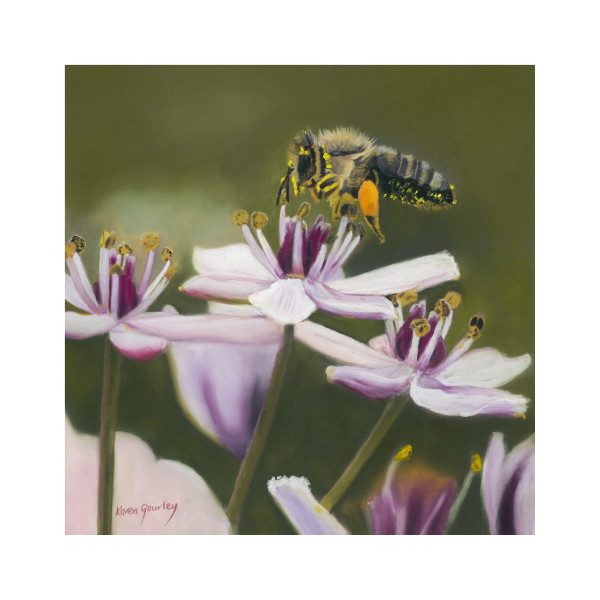 Honey Bee, Image 1.