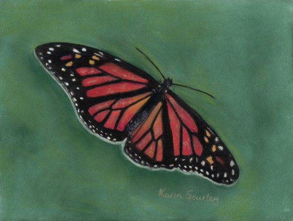 Monarch Butterfly, Image 1.