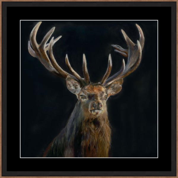 Quiet as a Shadow by Karen Gourley, Image 2.