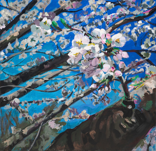 Blossoms by Cindy Rivarde