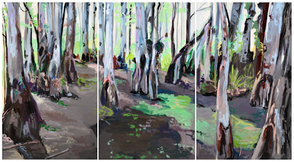 Florida Cypress Swamp by Cindy Rivarde