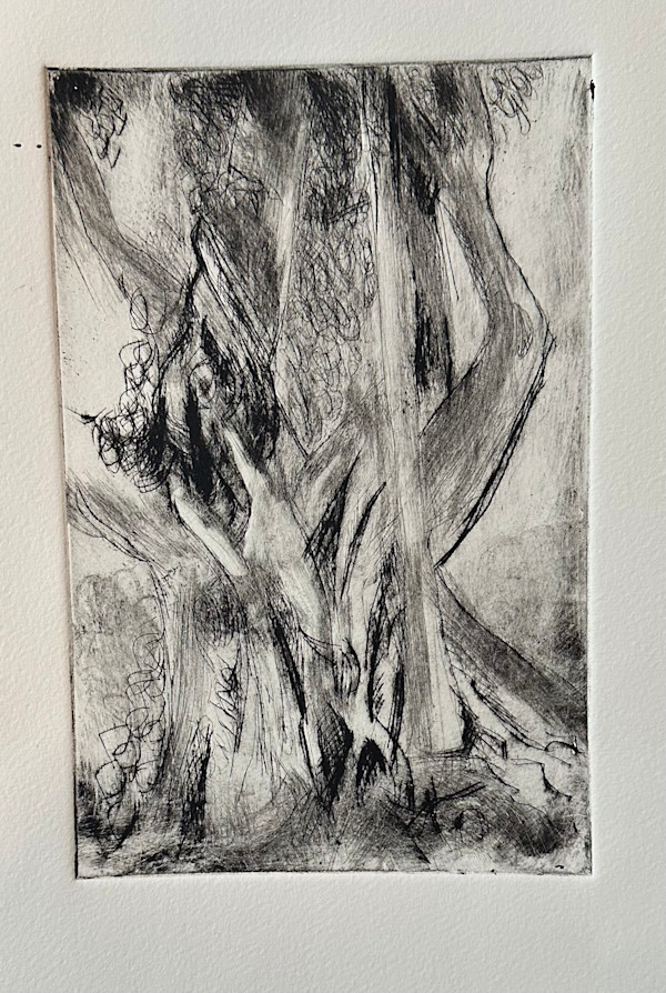 Banyan Etching by Cindy Rivarde