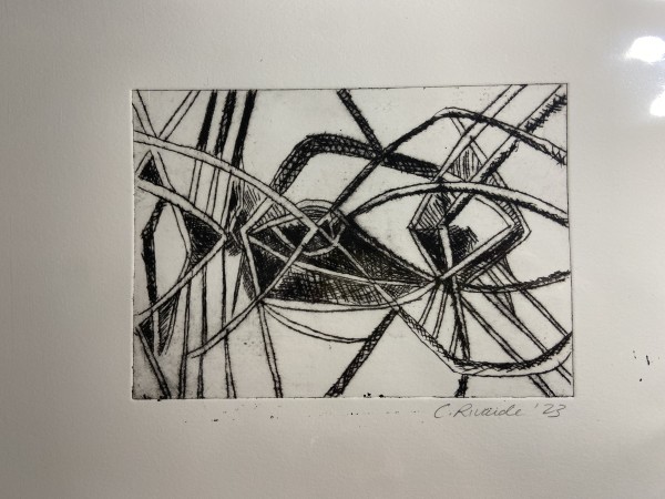 Drypoint Mangrove by Cindy Rivarde