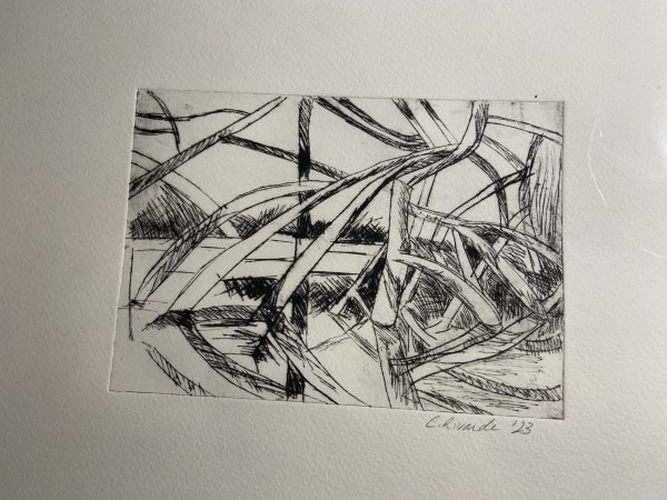 Mangrove drypoint by Cindy Rivarde