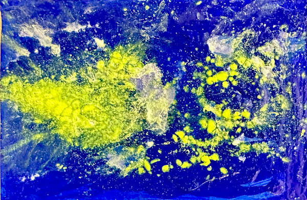 Cosmos by Cindy Rivarde