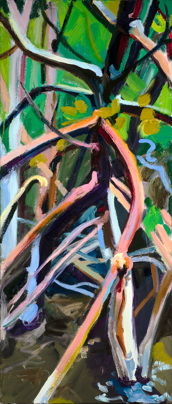 Mandrake Mangrove by Cindy Rivarde