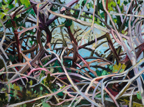 Mangroves in Naples by Cindy Rivarde