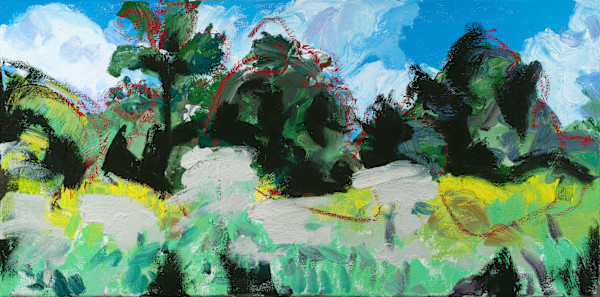 Mapped Landscape by Cindy Rivarde, Image 1.