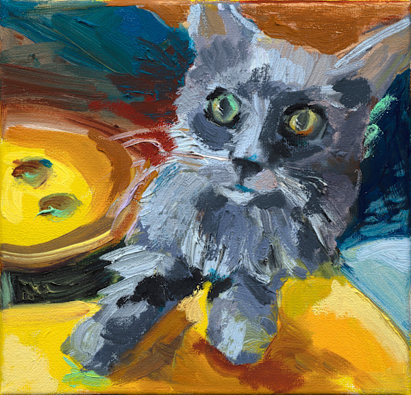Milo by Cindy Rivarde