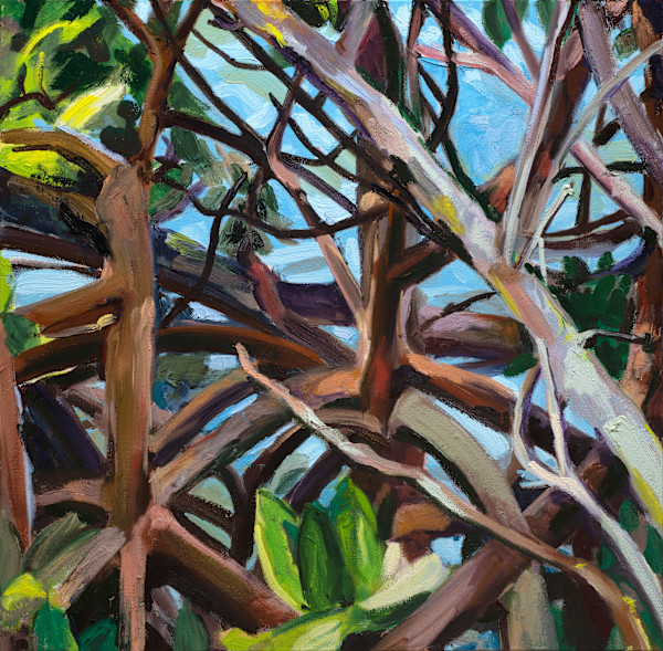 More Mangroves by Cindy Rivarde