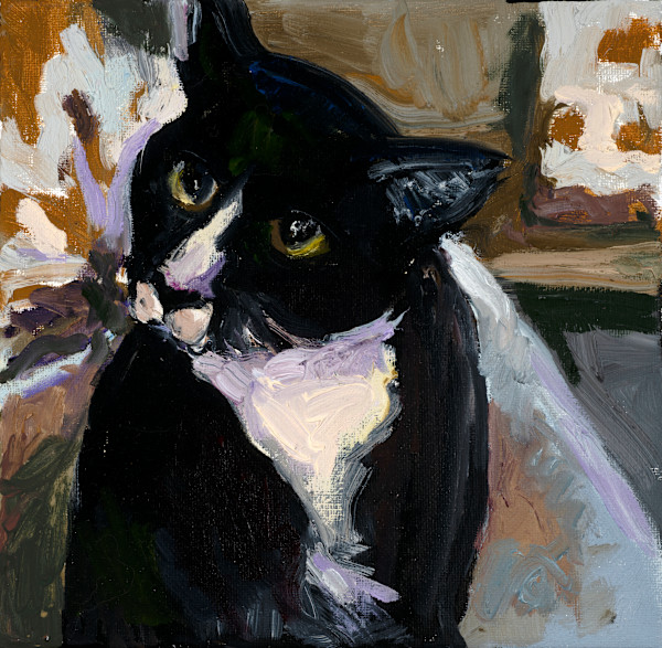 Picasso the Cat by Cindy Rivarde