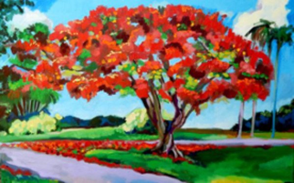 Royal Poinciana by Cindy Rivarde