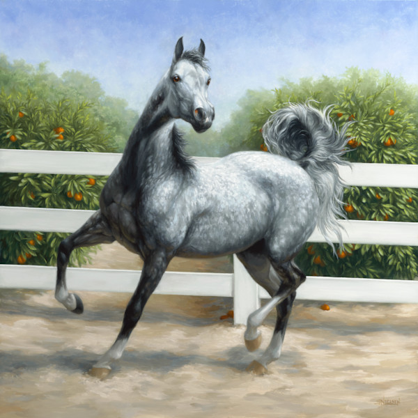 Fiona–First Encounter by Sherrie Nielsen