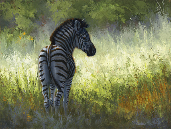 Zebra Foal by Sherrie Nielsen