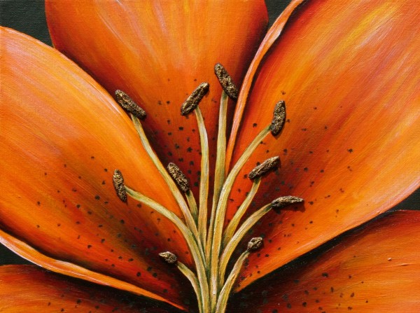 Tiger Lily 12 x 16 by Denise Cassidy Wood