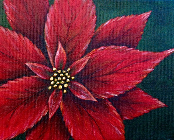 Poinsettia 8 x 10 by Denise Cassidy Wood