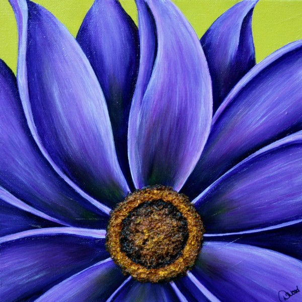 Purple Daisy 10 x 10 by Denise Cassidy Wood