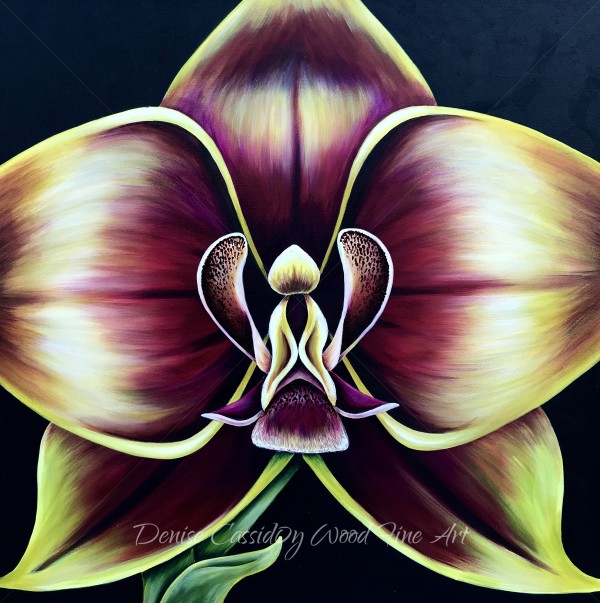 Orchid #575 by Denise Cassidy Wood