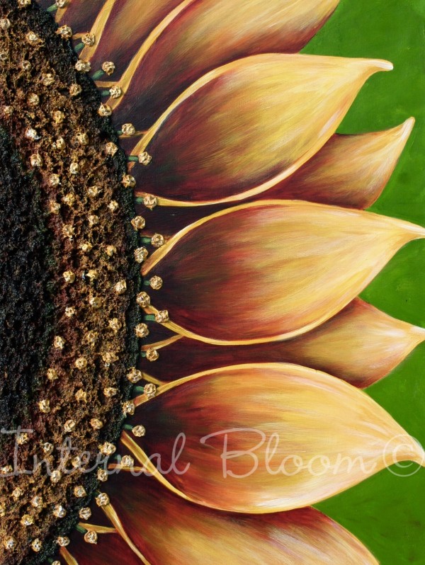 Sunflower by Denise Cassidy Wood