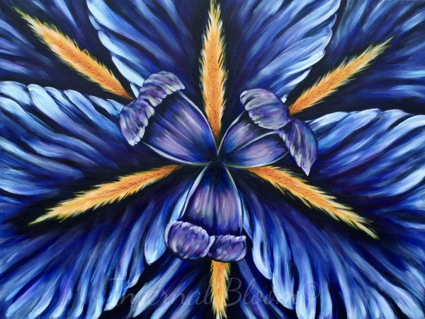 Kaleidoscope Iris by Denise Cassidy Wood