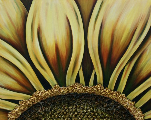 Sunflower Sunrise by Denise Cassidy Wood