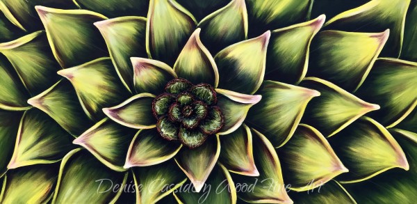 Succulent #586 by Denise Cassidy Wood