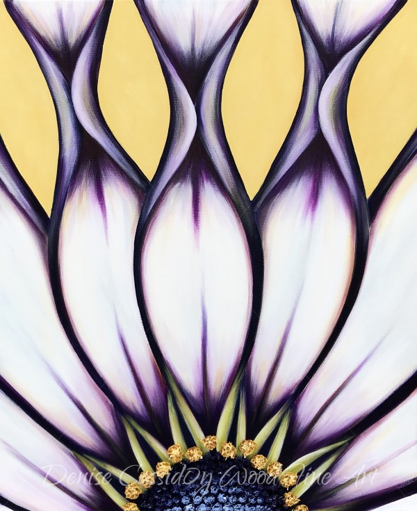 African Daisy #587 by Denise Cassidy Wood