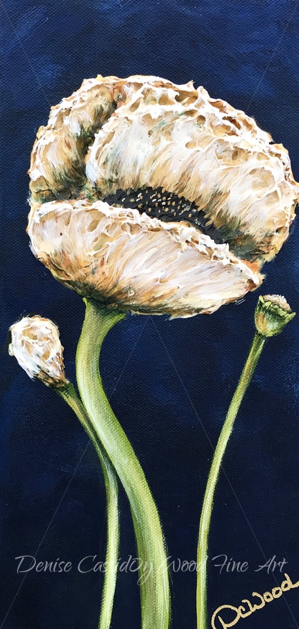 White Poppy #590 by Denise Cassidy Wood
