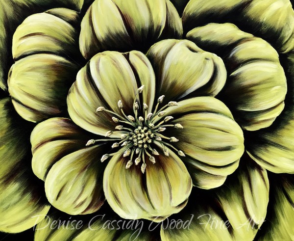 Hellebore Flower #592 by Denise Cassidy Wood
