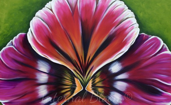 Pansy by Denise Cassidy Wood