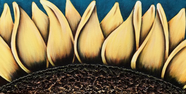 Sunflower #686 by Denise Cassidy Wood