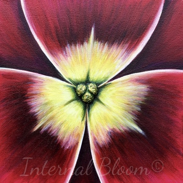 Hydrangea by Denise Cassidy Wood