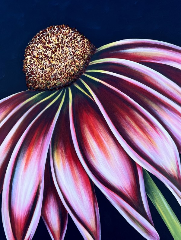 Cone Flower #582 by Denise Cassidy Wood
