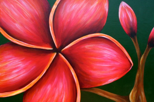 Plumeria    by Denise Cassidy Wood