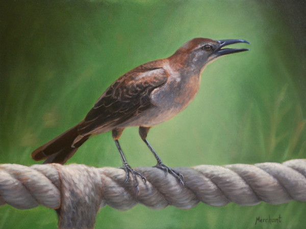 Bird on a Rope by Linda Merchant Pearce