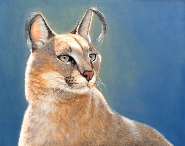 Bright Eyes - Caracal SOLD by Linda Merchant Pearce