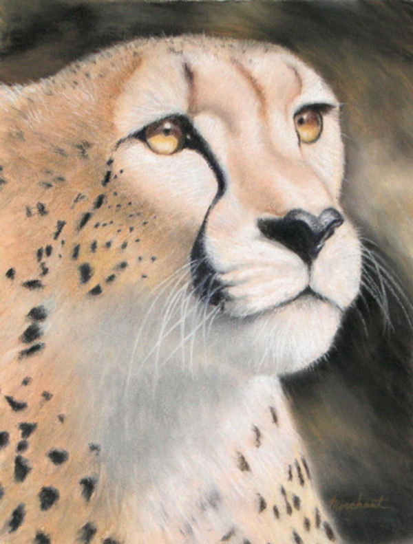 Intensity - Cheetah by Linda Merchant Pearce