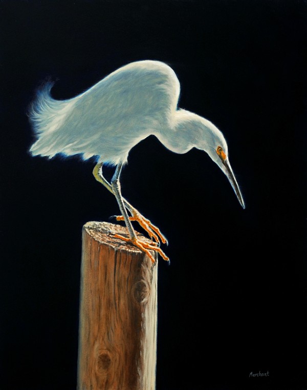 Interlude - Snowy Egret Sold by Linda Merchant Pearce