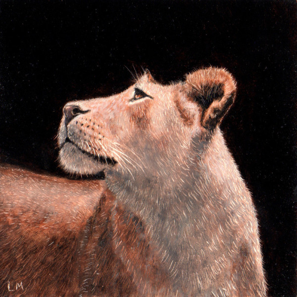 Lion Cub SOLD by Linda Merchant Pearce