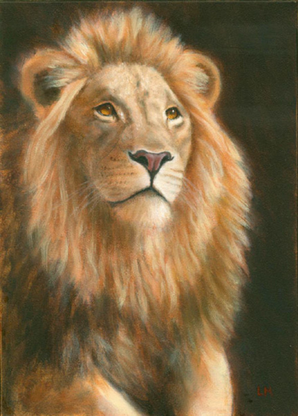 Lion Portrait SOLD by Linda Merchant Pearce