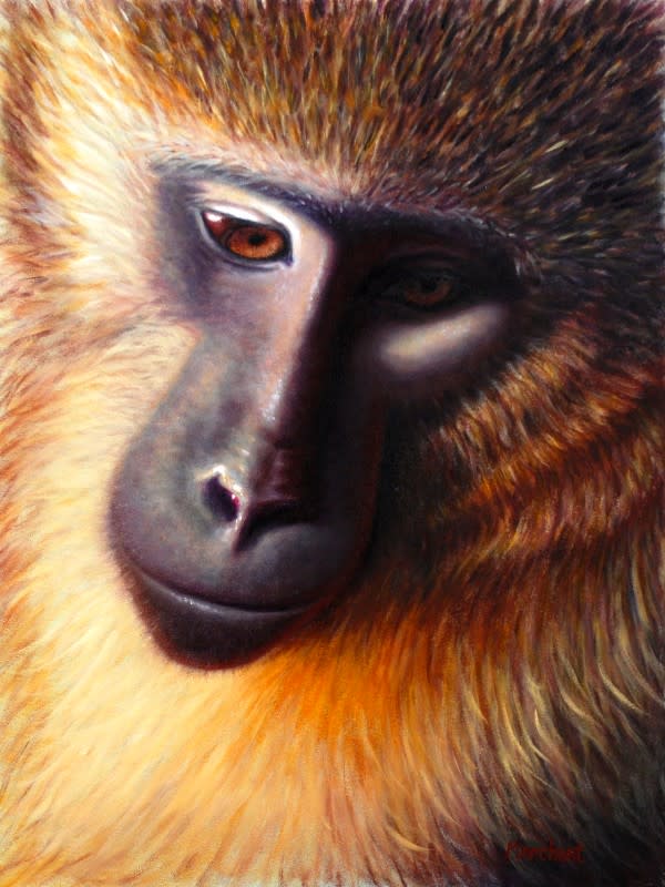 Golden Monkey SOLD by Linda Merchant Pearce
