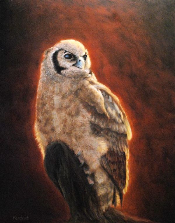 Verreaux's Eagle Owl SOLD by Linda Merchant Pearce