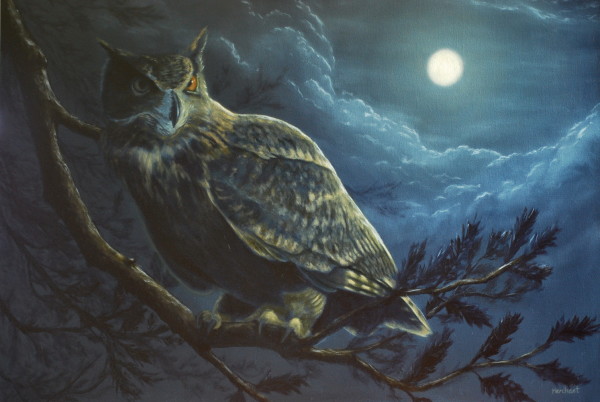 Night Owl AVAILABLE by Linda Merchant Pearce