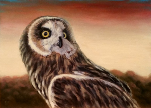 Owl at Sunset - SOLD by Linda Merchant Pearce