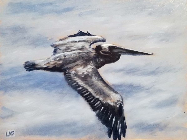 Pelican in Flight by Linda Merchant Pearce